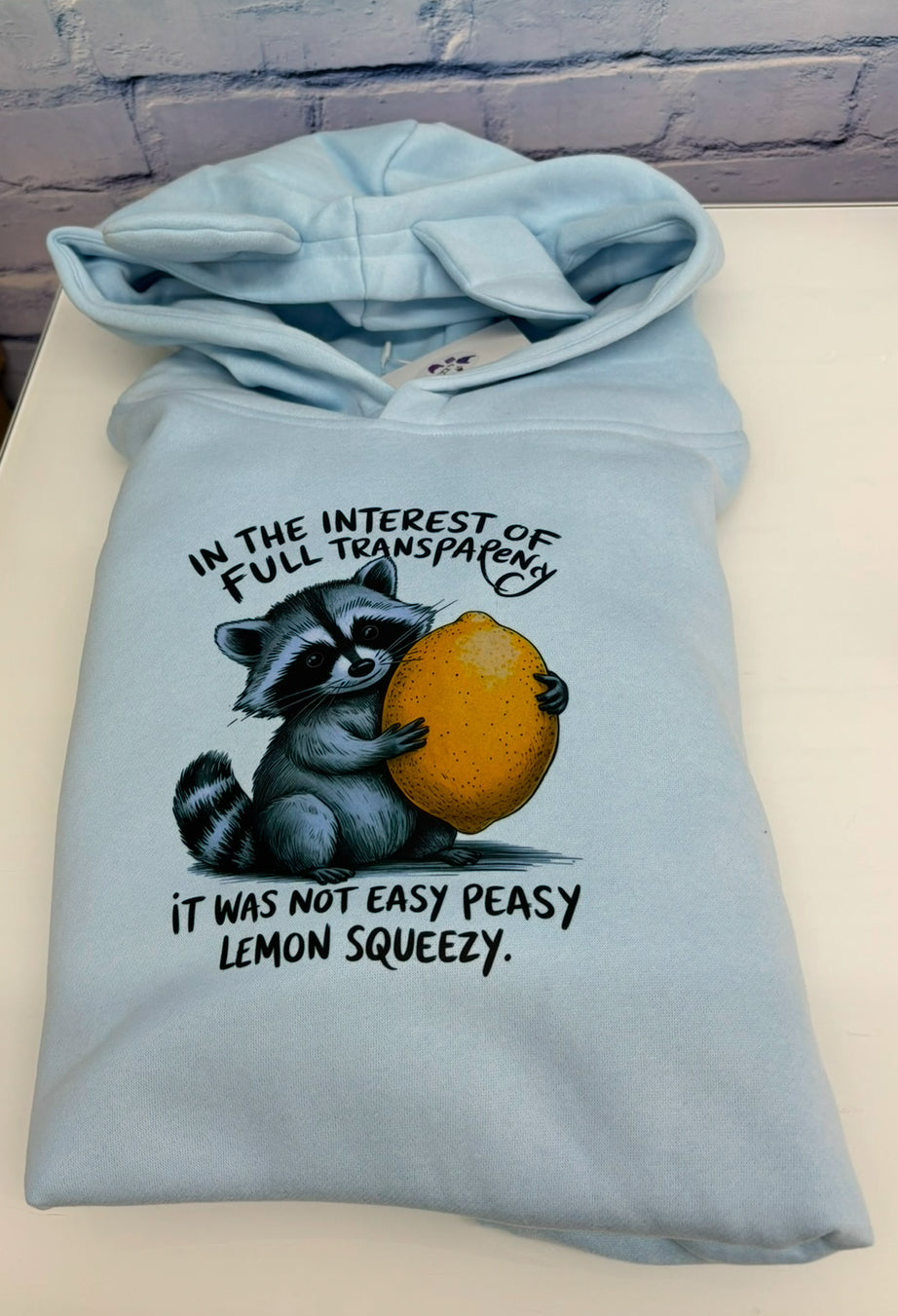 In the interest of full transparency hoodie