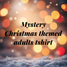 Load image into Gallery viewer, Adults mystery Christmas tshirt