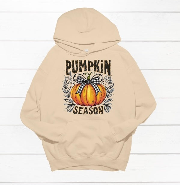 Pumpkin season hoodie