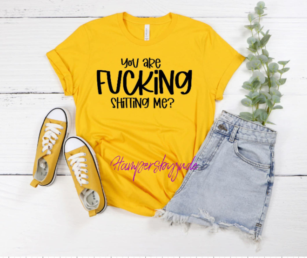 You Are Fucking Shitting Me tshirt